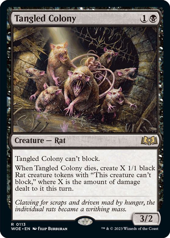 Tangled Colony